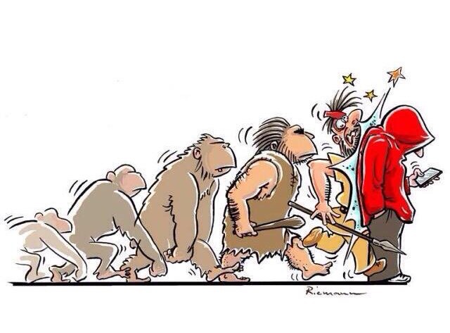 bugevolution